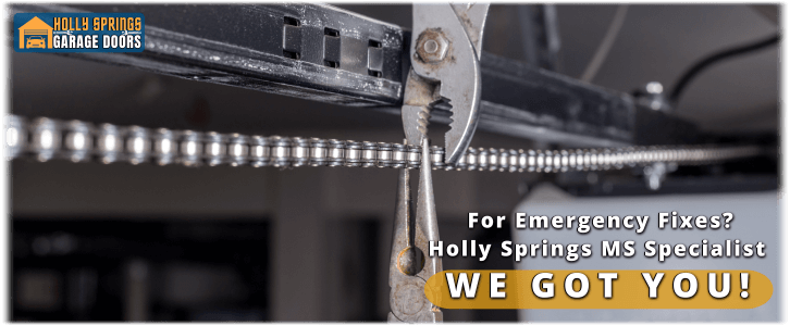Garage Door Maintenance Holly Springs MS